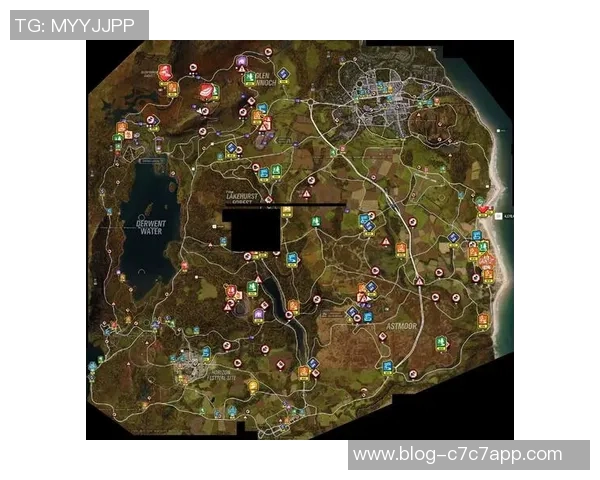 哥伦比亚与纽西兰精彩对决直播全程回顾与分析