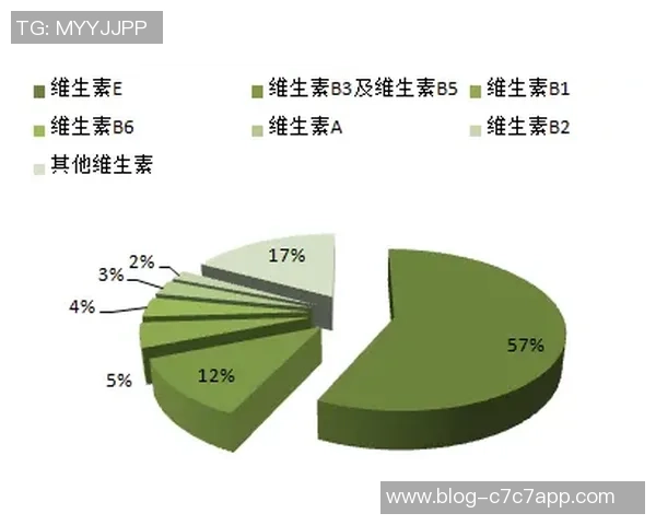 广州排球队个人能力分析与表现评估研究报告